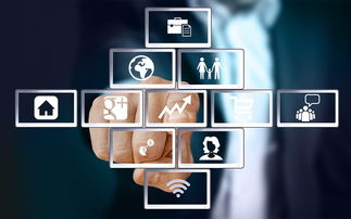 上海互聯(lián)網(wǎng)軟件集團(tuán) 引領(lǐng)高端協(xié)同管理軟件與咨詢(xún)服務(wù)新紀(jì)元